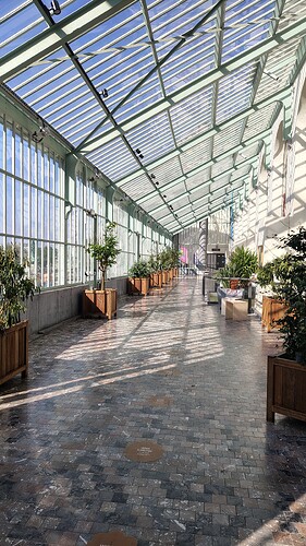 IMG_20251001_121227866_HDR