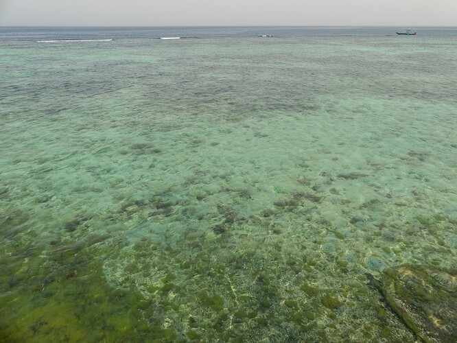 Mer Rouge depuis la corniche de Djeddah