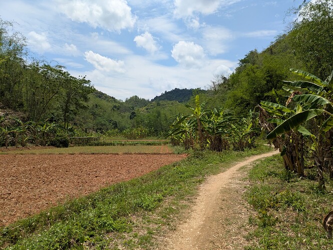 PXL_20250430_053219262