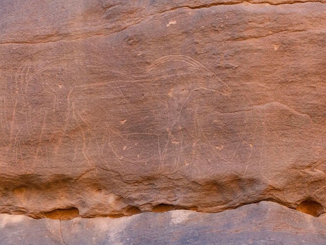 Peintures rupestres