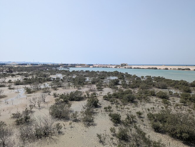 PXL_20250417_103921753_1