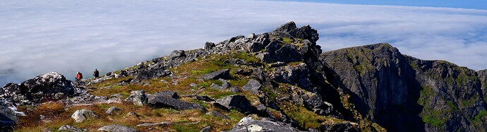 DSCF8562