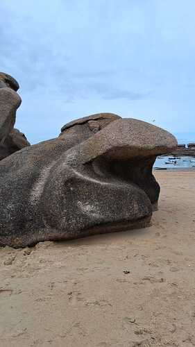 IMG-20250709-WA0031