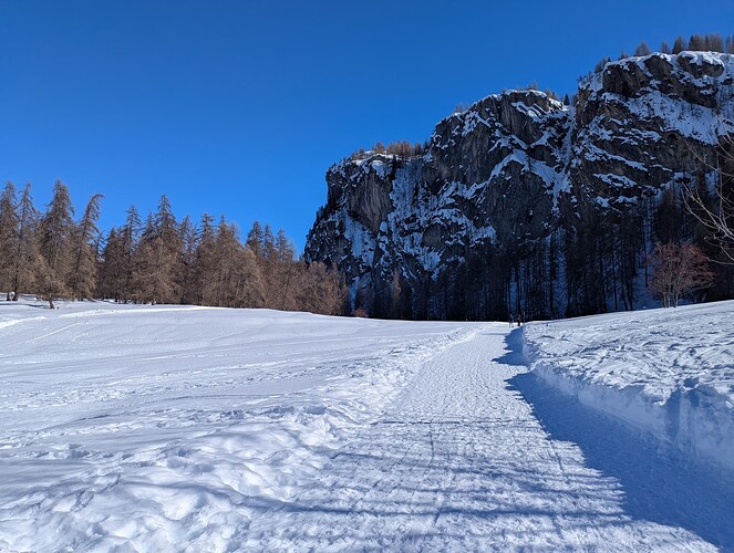 PXL_20260226_141032278_1