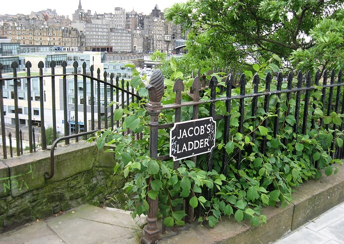 IMG_5954jacob's ladder