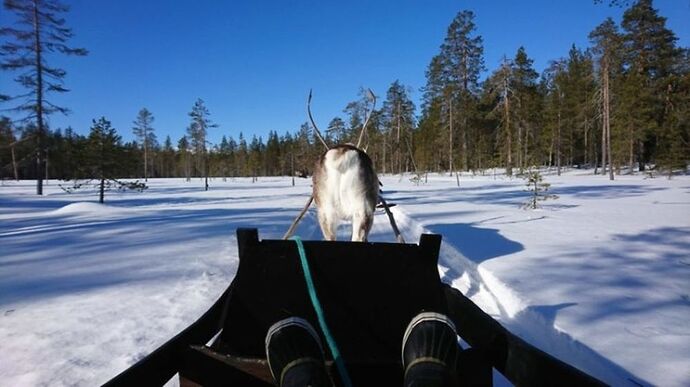 Voyage multi-activités en Laponie finlandaise chez l'habitant - Joh et Max