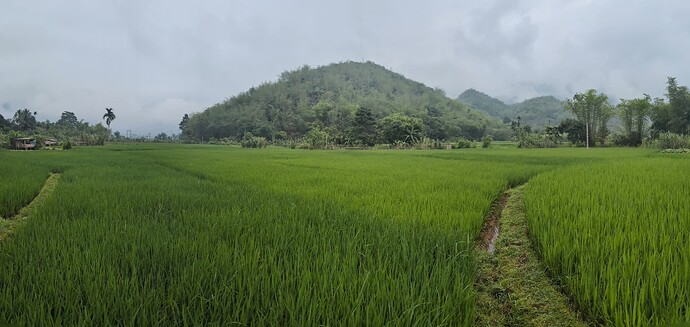 PXL_20250430_010249946.PANO