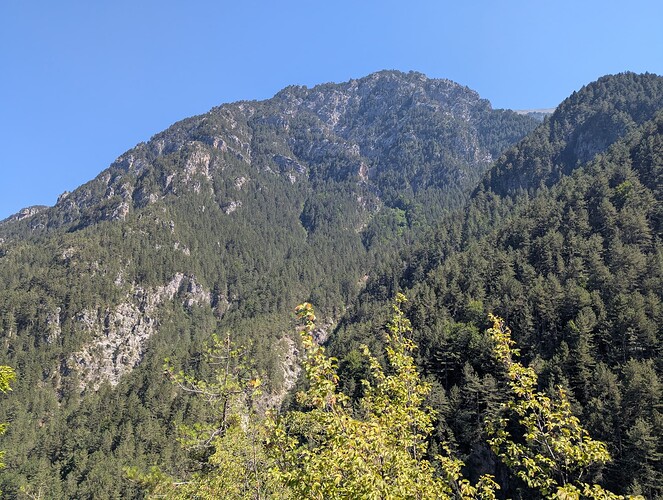 PXL_20250809_123245311_1
