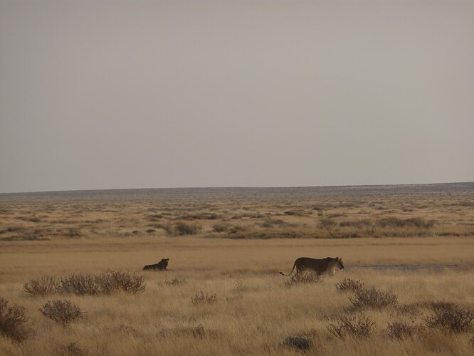 P1160008
