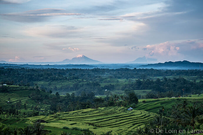 Bali - 3 semaines - Ubud - Pemuteran - Munduk - Amed - Gili Meno - Jimbaran - tfab