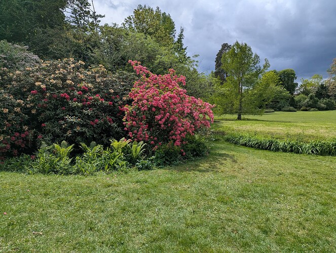 PXL_20260514_131836213_1