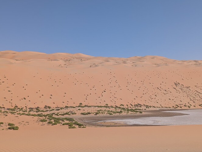PXL_20250417_051336267_1