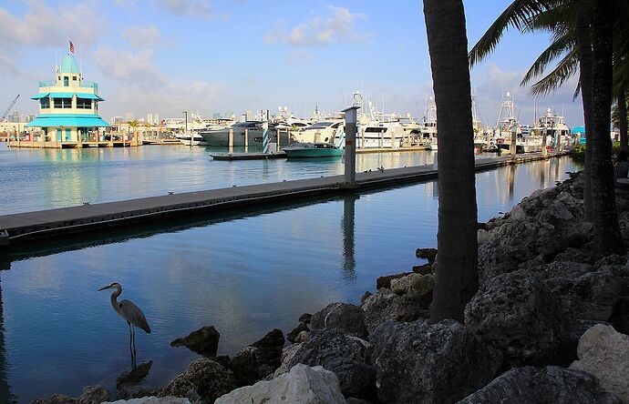 Petit ABCDaire de Miami, suite, de O (Ocean drive) à Z ... - jem