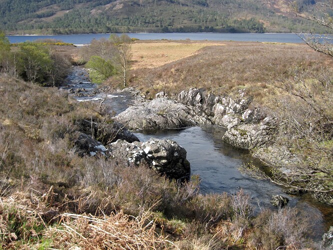 Ecosse (310)11
