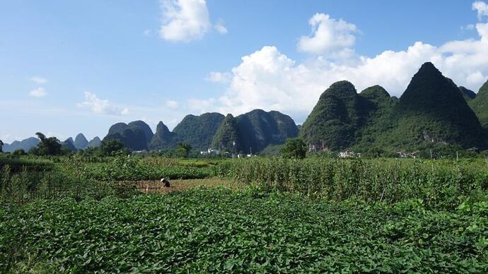 Voyage en Chine : Yangshuo – Dazhai – Fenghuang – Dehang – Zhangjiajie – Beijing – Huashan – Chengdu – Shunan zhuhai – Leshan – Emeishan (Première partie) - Meli Voyage en Chine : Yangshuo – Dazhai – Fenghuang – Dehang – Zhangjiajie – Beijing – Huashan – Chengdu – Shunan zhuhai – Leshan – Emeishan (Première partie) - Meli