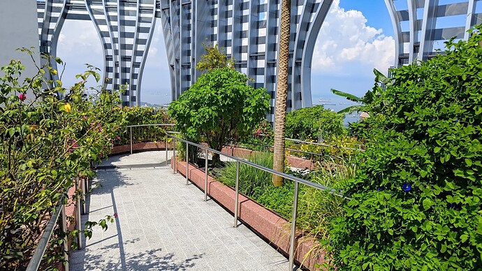 P_20250729_144722