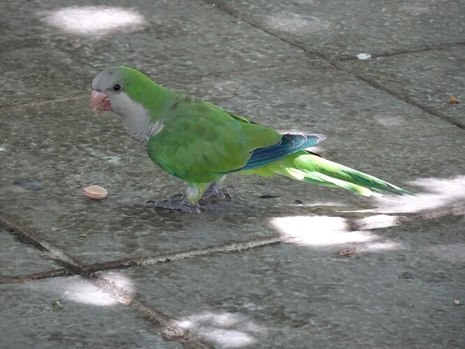 DSC03799_1