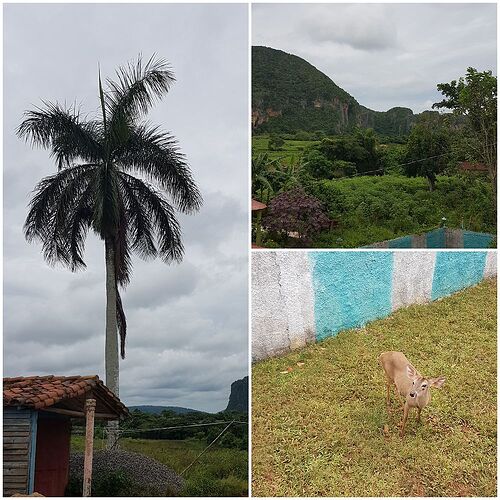 Casa pour groupe ou famille (et les autres!) à Viñales - zapata33