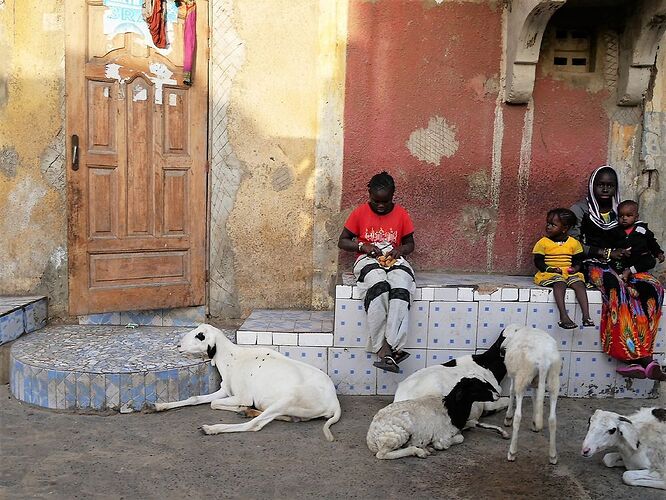 Visages et instantanés du Sénégal, Saint Louis et ses environs ... - fabienne65 Visages et instantanés du Sénégal, Saint Louis et ses environs ... - fabienne65