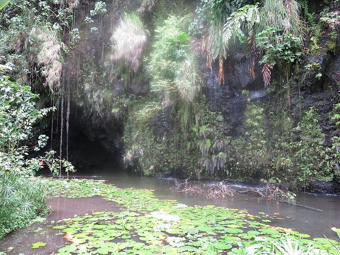 DE RETOUR D'UN MOIS EN POLYNESIE - tontonvin