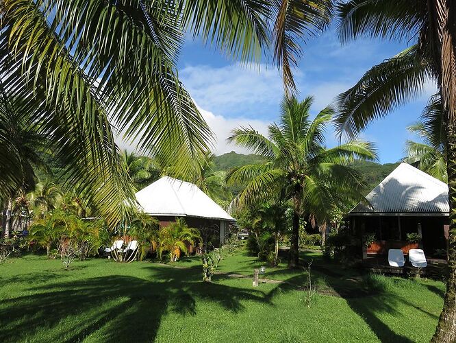 DE RETOUR D'UN MOIS EN POLYNESIE - tontonvin