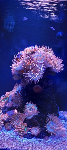 473758328_10227944681950278_9008244460384256793_n