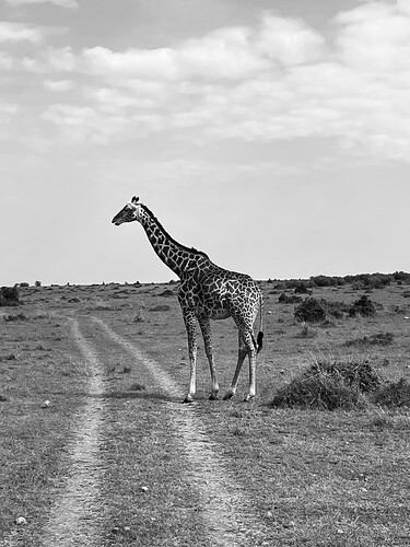 IMG_1309