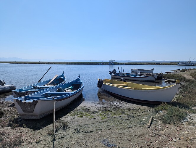 PXL_20250810_080807283_1
