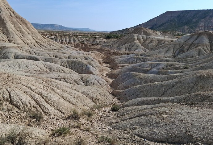 IMG-20250610-WA0024~2