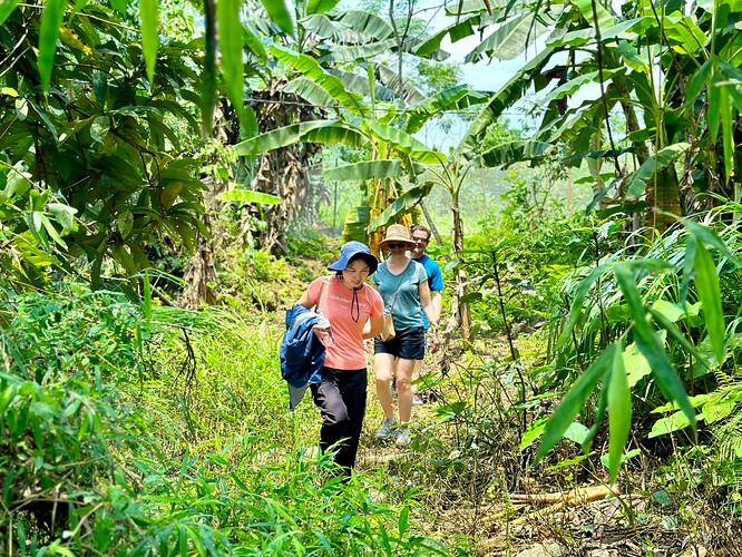 Trek a yenbai