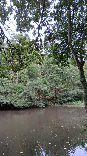 IMG-20250927-WA0000