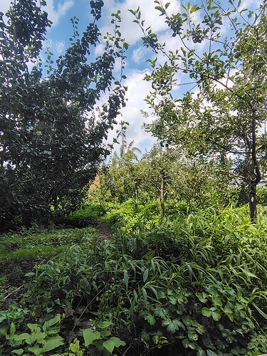 IMG_20250619_115834581_HDR