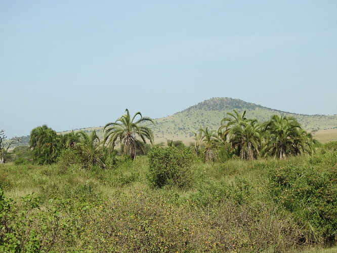 DSCN1701