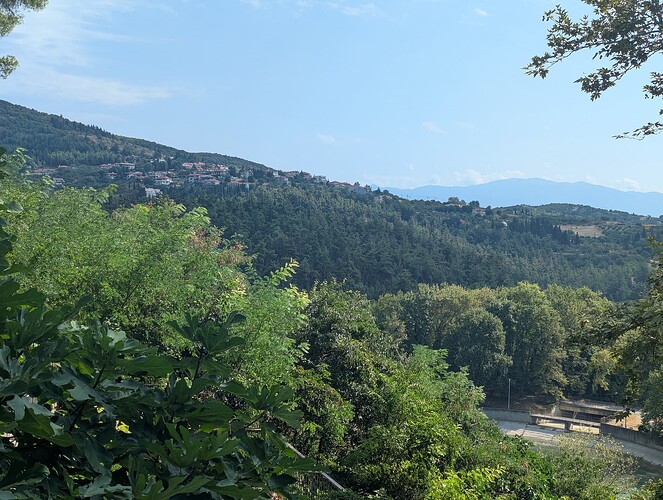 PXL_20250804_075022487_1