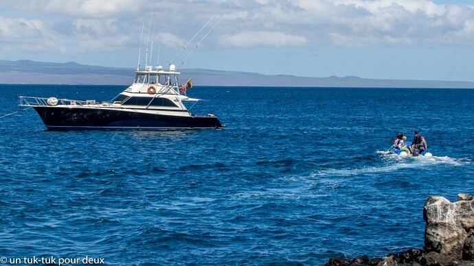 12 jours aux Îles Galápagos en autonomie, c'est vraiment merveilleux! - un-tuk-tuk-pour-deux