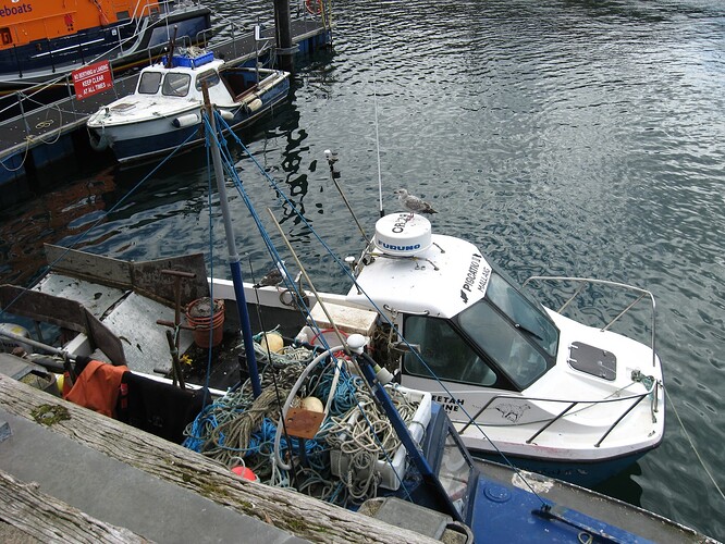 Ecosse (55)