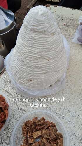 IMG-20251104-WA0011(1)