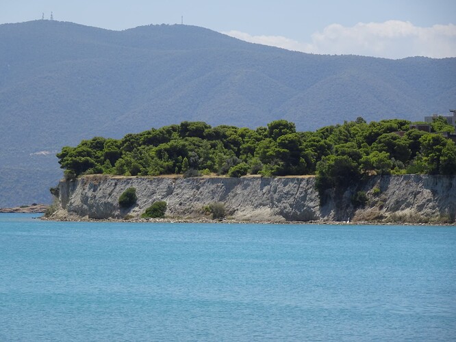 DSC03907_1