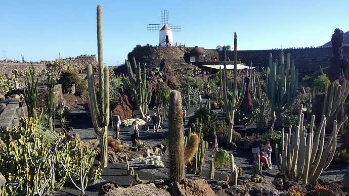 Jardin de cactus