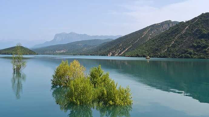 IMG-20250614-WA0020