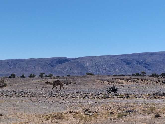 IMG-20250420-WA0028