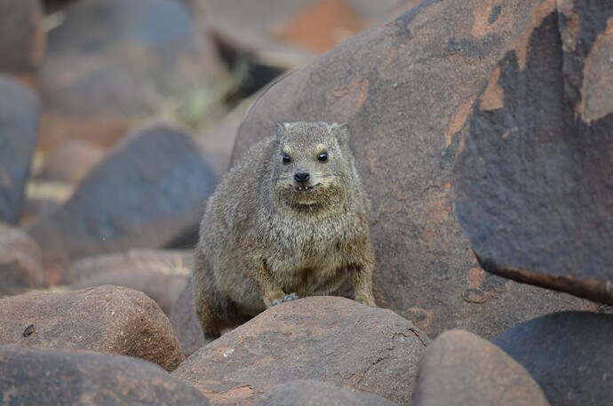 namibie (17)