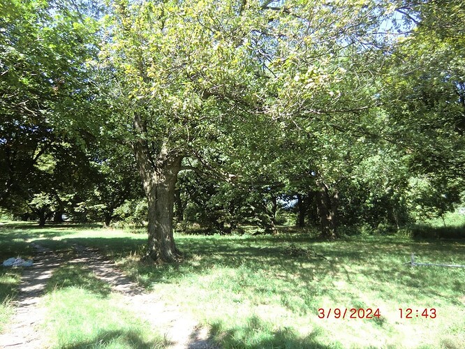 CIMG0798