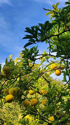 IMG_20250919_144024475_HDR