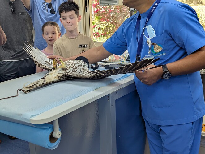 PXL_20250418_062702286_1