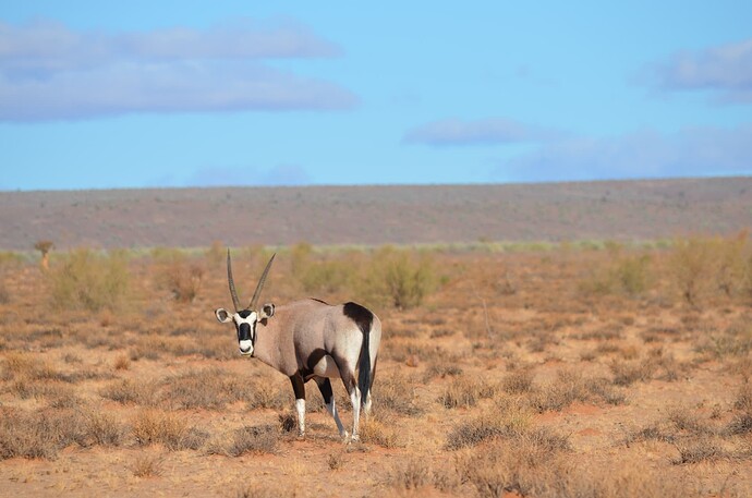 namibie (95)