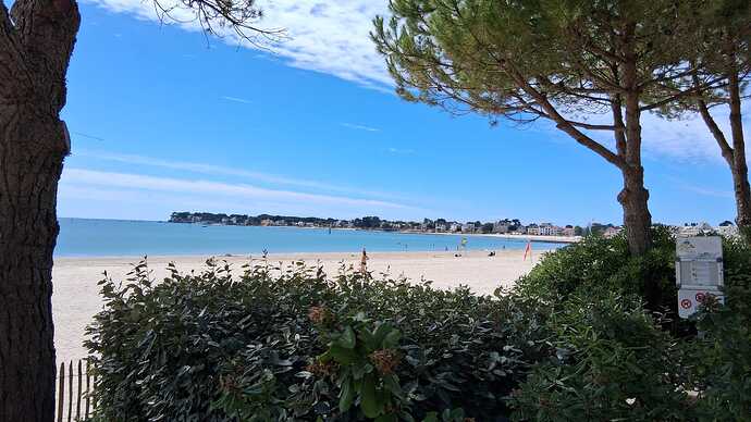 IMG-20250806-WA0037