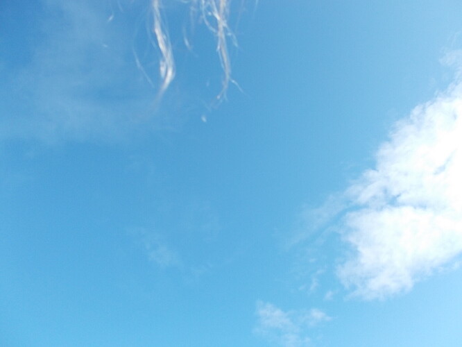 DSCN5440