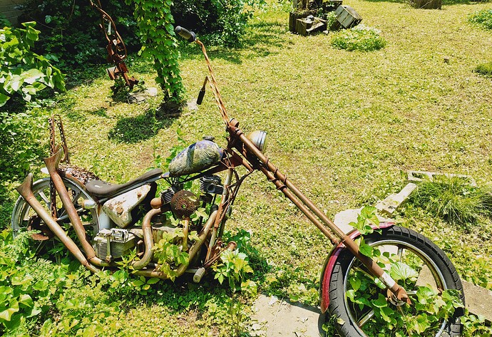 original_2f6d30b2-8646-430b-a8be-ba909221d6a8_IMG_20250612_131025386_HDR
