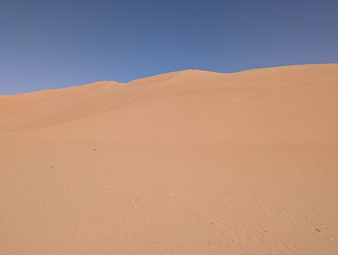PXL_20250417_054307982_1